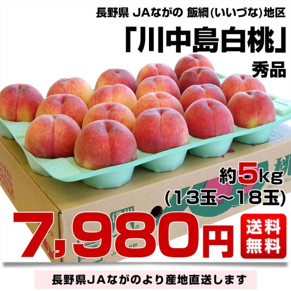 長野県より産地直送 JAながの 飯綱(いいづな)地区 川中島白桃 秀品 約5キロ (15玉から18玉) 送料無料 もも モモ03
