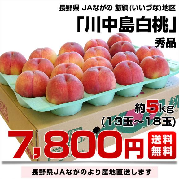 長野県より産地直送 JAながの 飯綱(いいづな)地区 川中島白桃 秀品 約5キロ (15玉から18玉) 送料無料 もも モモ03