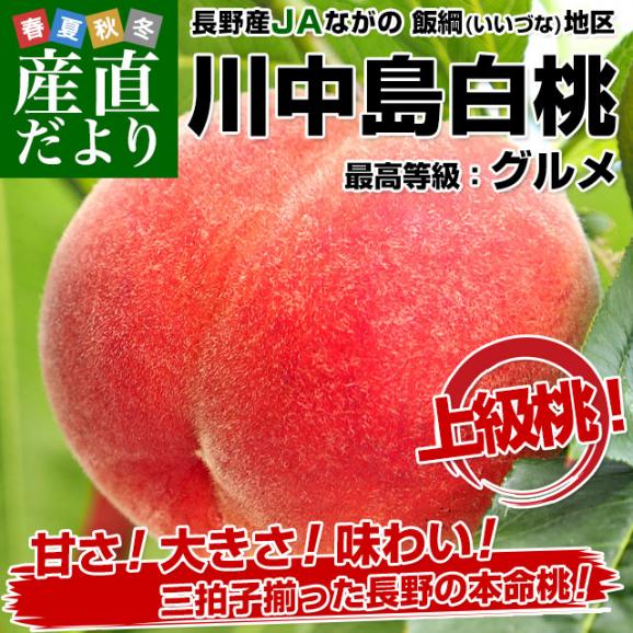 長野県より産地直送 JAながの 飯綱(いいづな)地区 川中島白桃 最高等級 グルメ 約5キロ (15玉から18玉) 送料無料 もも モモ02
