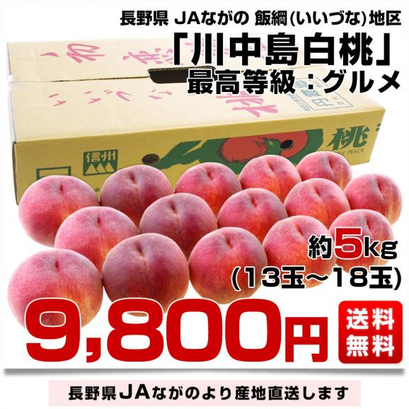 長野県より産地直送 JAながの 飯綱(いいづな)地区 川中島白桃 最高等級 グルメ 約5キロ (15玉から18玉) 送料無料 もも モモ03