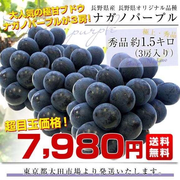 長野県産 ナガノパープル 秀品 約1.5キロ（3房入り）黒ぶどう 葡萄