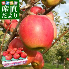 青森県より産地直送 JAつがる弘前 夢ひかり 約3キロ(9玉から13玉) 林檎 りんご リンゴ 送料無料