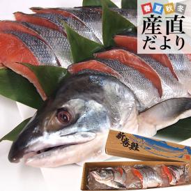 北海道産　新巻鮭姿切り身 大型の鮭 まるごと1尾分　約2.5キロ　北海道サケ　シャケ 秋鮭