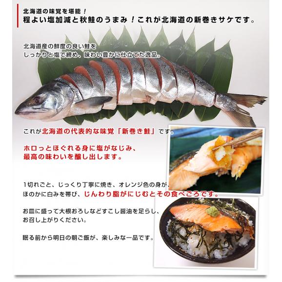 北海道産　新巻鮭姿切り身 大型の鮭 まるごと1尾分　約2.5キロ　北海道サケ　シャケ 秋鮭04