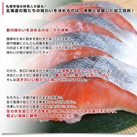 北海道より直送 新巻鮭 姿切り身 大型の鮭 まるごと1尾分 約2.5キロ 送料無料 北海道サケ シャケ 秋鮭 新巻き鮭06