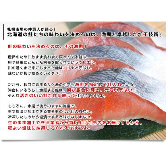 北海道産　新巻鮭姿切り身 大型の鮭 まるごと1尾分　約2.5キロ　北海道サケ　シャケ 秋鮭06