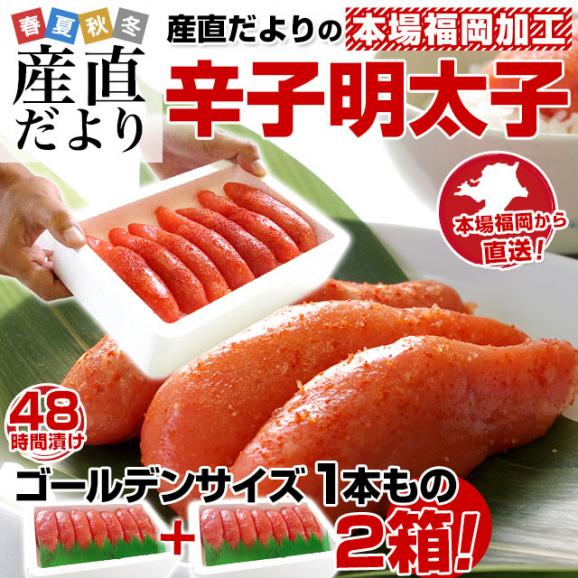 福岡加工 辛子明太子 ゴールデンサイズ 極太1本もの 約260g(6本から7本)×2箱 送料無料 めんたいこ　シーフード from九州02