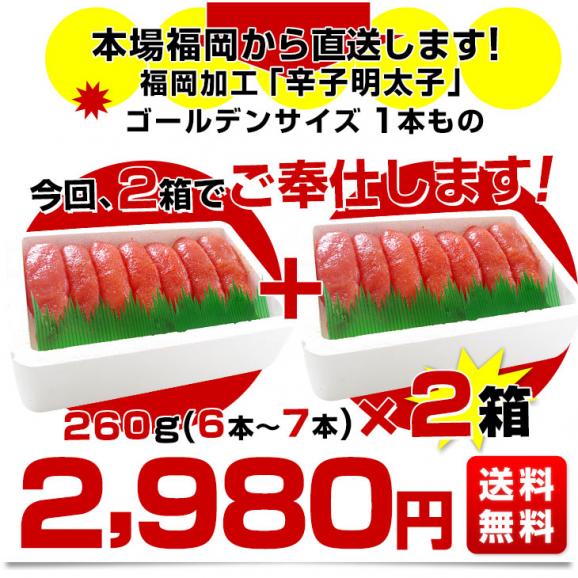 福岡加工 辛子明太子 ゴールデンサイズ 極太1本もの 約260g(6本から7本)×2箱 送料無料 めんたいこ　シーフード from九州03