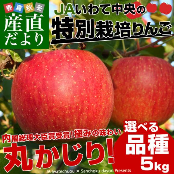 岩手県より産地直送 JAいわて中央 皮ごとまるごと！特別栽培りんご 5キロ (14玉から25玉) 林檎 リンゴ 送料無料02