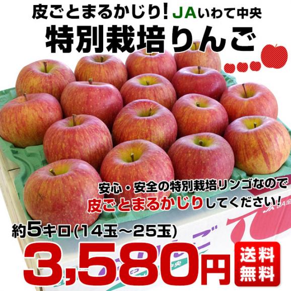 岩手県より産地直送 JAいわて中央 皮ごとまるごと！特別栽培りんご 5キロ (14玉から25玉) 林檎 リンゴ 送料無料03