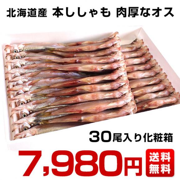 北海道産 本ししゃも 肉厚なオス 30尾入り化粧箱 送料無料 北柳葉魚 本シシャモ　シーフード03