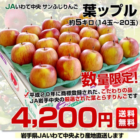 岩手県より産地直送 JAいわて中央 葉とらずサンふじりんご 葉ップル 5キロ(14玉から20玉) 林檎 リンゴ 送料無料 お歳暮 ギフト03
