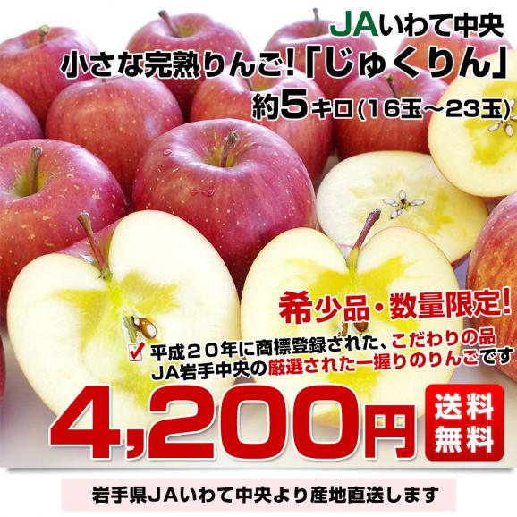 岩手県より産地直送 JAいわて中央 完熟サンふじりんご じゅくりん 約5キロ(16玉から23玉) 送料無料 林檎 リンゴ  お歳暮 ギフト03