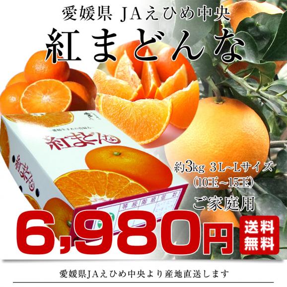 愛媛県より産地直送 JAえひめ中央 紅まどんな 良品 3LからLサイズ 約3キロ（10玉から15玉） 送料無料 紅マドンナ オレンジ お歳暮 ギフト03