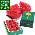 福岡県より産地直送 JAくるめ あまおういちご EX:最上級品エクセレント 420g(12粒から15粒) 苺 いちご イチゴ ストロベリー