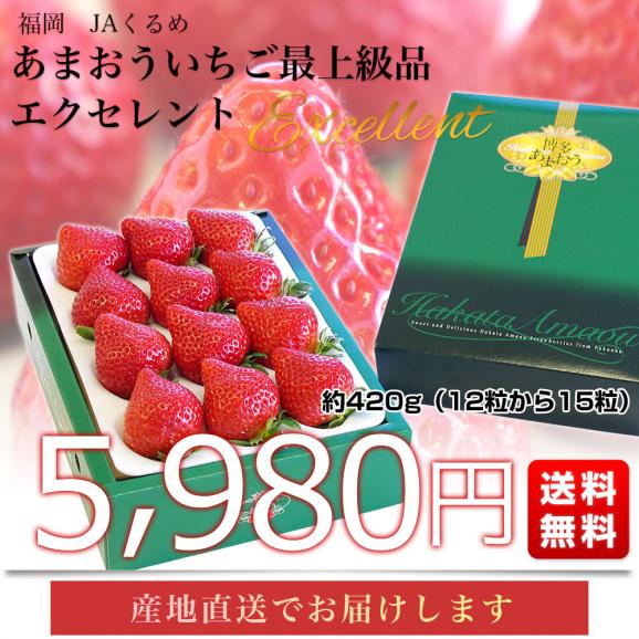 【お歳暮 ギフト】福岡県より産地直送 JAくるめ あまおういちご EX:最上級品エクセレント 420g（12粒から15粒） 送料無料　苺 いちご イチゴ ストロベリーfrom九州03