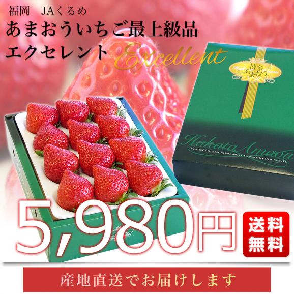【お歳暮 ギフト】福岡県より産地直送 JAくるめ あまおういちご EX:最上級品エクセレント 420g(12粒から15粒) 送料無料 苺 いちご イチゴ ストロベリー03