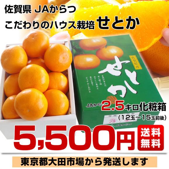  佐賀県産  JAからつ せとか 秀品 2.5キロ 化粧箱入(12から15玉) 送料無料 唐津03