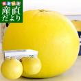 熊本県より産地直送 JAやつしろ 晩白柚 超大玉 ２玉入り 4キロから5キロ 送料無料 ばんぺいゆ 最大級 柑橘 八代