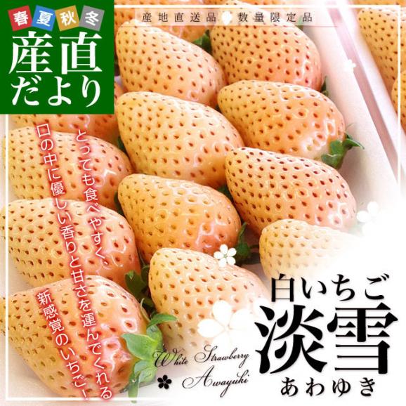 熊本県より産地直送　西谷農園の白いちご　淡雪（あわゆき）　Lサイズ以上　約540g（270g×2P（8粒から15粒×2P））苺 イチゴ 送料無料02