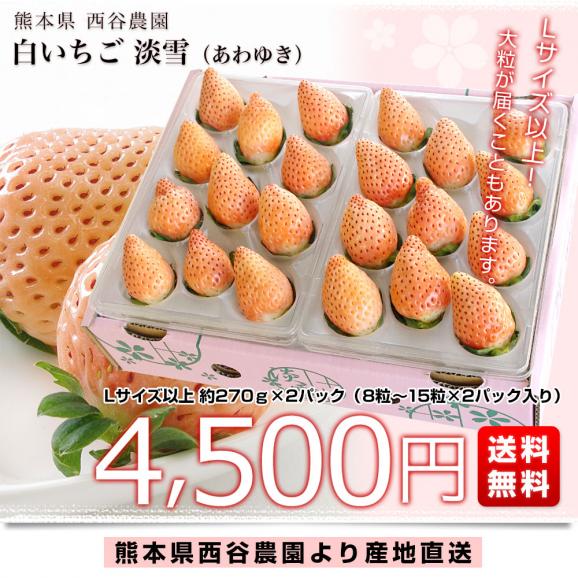 熊本県より産地直送 西谷農園の白いちご 淡雪(あわゆき) Lサイズ以上 約540g(270g×2P(8粒から15粒×2P))苺 イチゴ 送料無料 from九州03