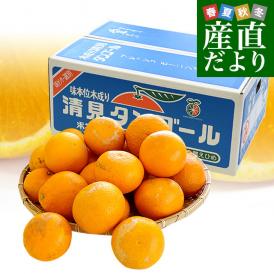 愛媛県より産地直送 JAにしうわ三崎共選 清見タンゴール （清見オレンジ） ご家庭用 3LからMサイズ 約5キロ (16玉から35玉前後) 送料無料 柑橘 オレンジ 西宇和 八幡浜 みさき