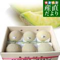 静岡県より産地直送 静岡県温室農業協同組合クラウンメロン支所 クラウンメロン 白 7.5キロ （6玉） 送料無料 めろん