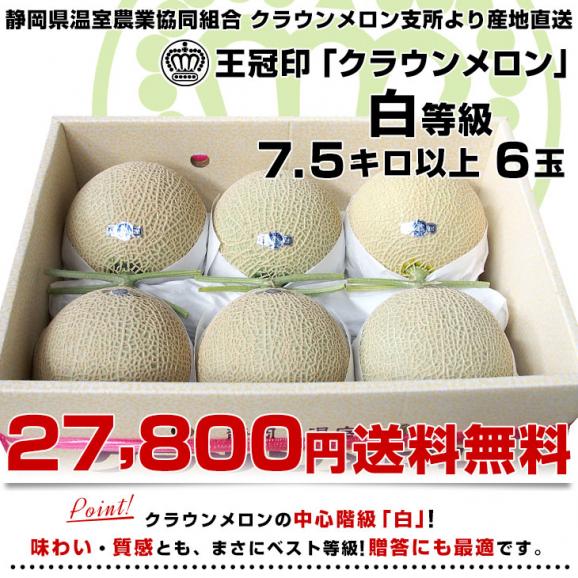 静岡県より産地直送 静岡県温室農業協同組合クラウンメロン支所 クラウンメロン 白 7.5キロ （6玉） 送料無料 めろん03