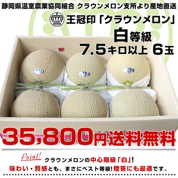 静岡県より産地直送 静岡県温室農業協同組合クラウンメロン支所 クラウンメロン 白 7.5キロ （6玉） 送料無料 めろん03