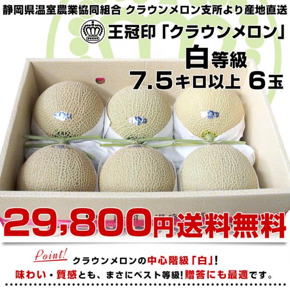 静岡県より産地直送 静岡県温室農業協同組合クラウンメロン支所 クラウンメロン 白 7.5キロ （6玉） 送料無料 めろん03