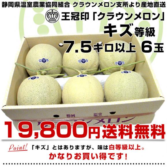 静岡県より産地直送 静岡県温室農業協同組合クラウンメロン支所 クラウンメロン キズ 7.5キロ (6玉)  送料無料 めろん 03