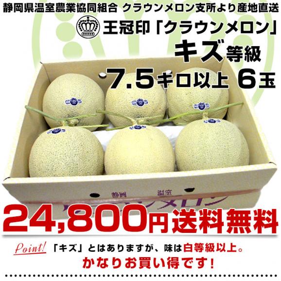 静岡県より産地直送　静岡県温室農業協同組合クラウンメロン支所　クラウンメロン　キズ　7.5キロ （6玉）  送料無料 めろん 03