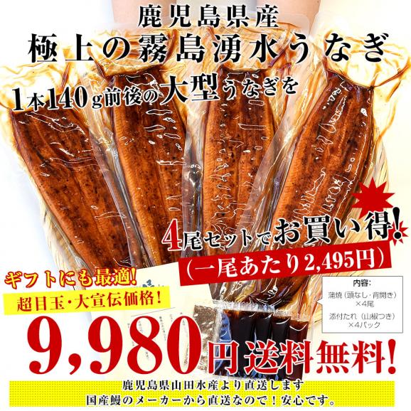 ギフトにも最適！ 鹿児島県志布志産 山田水産 霧島湧水うなぎ 長蒲焼き 大サイズ4尾セット（140g前後×4尾）送料無料 鰻師 加藤尚武さん 鰻 ウナギ クール冷凍便 ギフト 夏ギフト お中元 御中元03