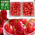 山形県より産地直送 山形県寒河江産さくらんぼ 紅秀峰 特秀品 約800g(400g×2) 2Lサイズ お中元ギフト べにしゅうほう ※クール便