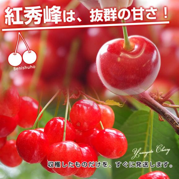 山形県より産地直送 山形県寒河江産さくらんぼ 紅秀峰 特秀品 約800g(400g×2) 2Lサイズ お中元ギフト べにしゅうほう ※クール便04