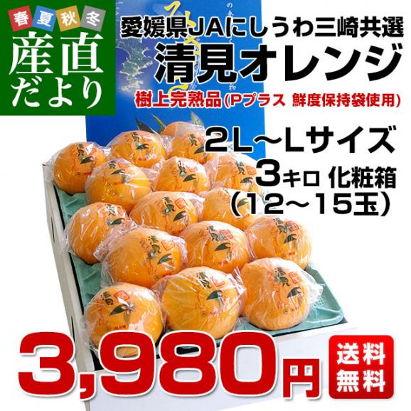 送料無料　愛媛県JAにしうわ三崎共選より産地直送　清見オレンジ　2L～L　3キロ　樹上完熟品（Pプラス鮮度保持袋入り） 化粧箱　夏ギフト2019　お中元ギフト03