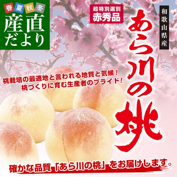 和歌山県より産地直送 JAわかやま紀の里地域本部 あら川の桃 赤秀品 1.8キロ (6玉から8玉) 送料無料 桃 もも 02