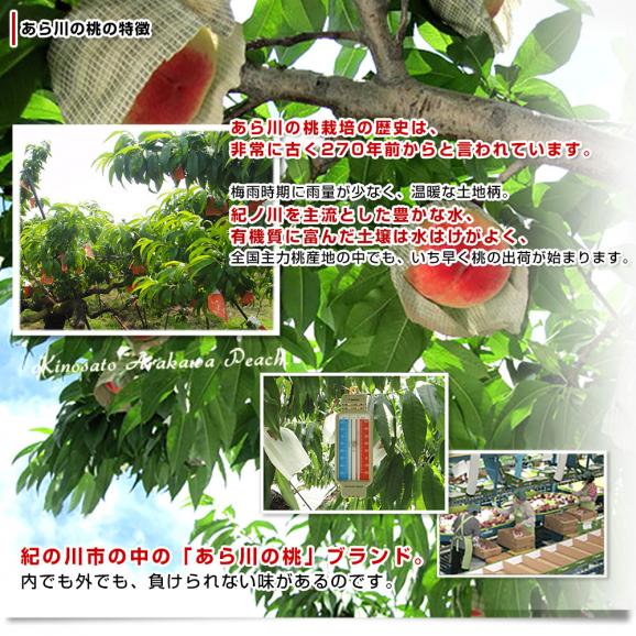 和歌山県より産地直送 JA紀の里 あら川の桃 赤秀品 1.8キロ (6玉から8玉) 送料無料 桃 もも 05
