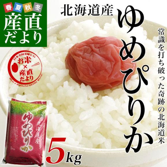 令和6年産 北海道産 ゆめぴりか 5キロ お米 北海道米 送料無料02