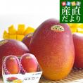 沖縄県より産地直送 JAおきなわ 完熟沖縄マンゴー 秀品 2Lサイズ×2玉 合計700g (約350g×2玉) 送料無料 まんごー アップルマンゴー お中元 ギフト from沖縄
