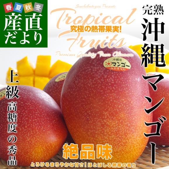 沖縄県より産地直送 JAおきなわ 完熟沖縄マンゴー 秀品 2Lサイズ×2玉 合計700g (約350g×2玉) 送料無料 まんごー アップルマンゴー お中元 ギフト from沖縄02
