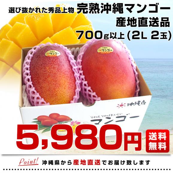 沖縄県より産地直送 JAおきなわ 完熟沖縄マンゴー 秀品 2Lサイズ×2玉 合計700g (約350g×2玉) 送料無料 まんごー アップルマンゴー お中元 ギフト from沖縄03