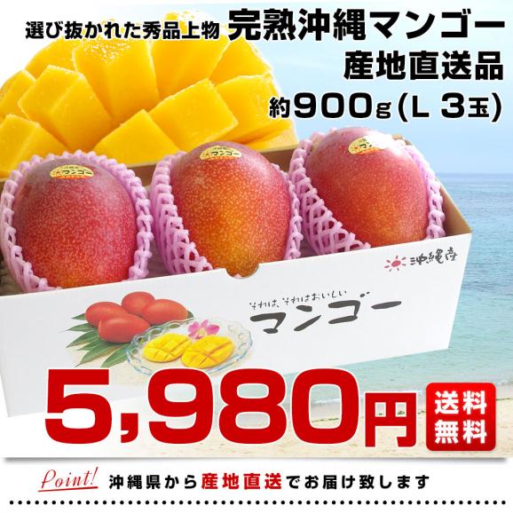 沖縄県より産地直送 JAおきなわ 完熟沖縄マンゴー 秀品 Lサイズ&times;3玉 合計900g (約300g&times;3玉) 送料無料 まんごー アップルマンゴー お中元 ギフト from沖縄03
