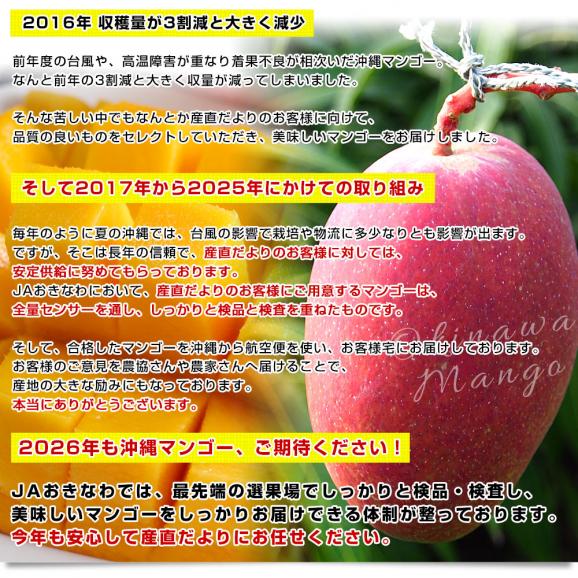 沖縄県より産地直送 JAおきなわ 完熟沖縄マンゴー 秀品 Lサイズ&times;3玉 合計900g (約300g&times;3玉) 送料無料 まんごー アップルマンゴー お中元 ギフト from沖縄06