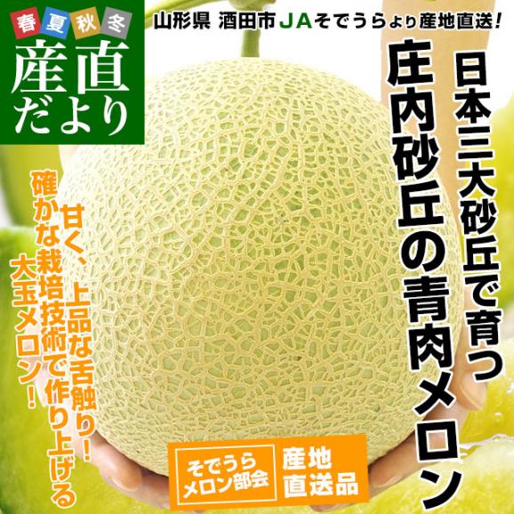 山形県より産地直送 JAそでうら 庄内砂丘の青肉メロン 大玉サイズ 4玉から5玉 約8キロ 送料無料 メロン めろん02