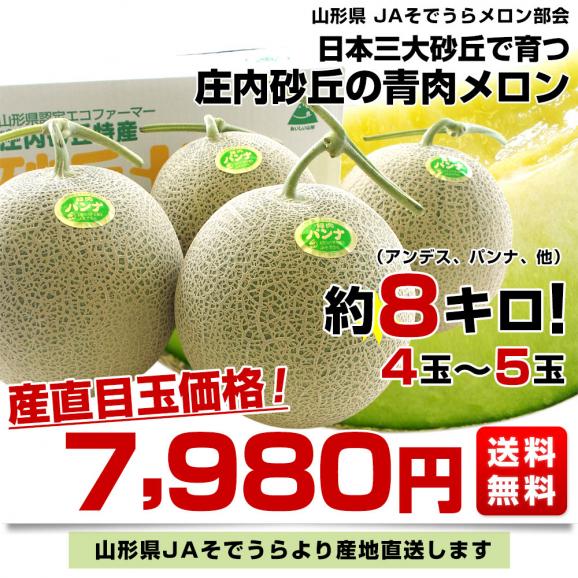 山形県より産地直送 JAそでうら 庄内砂丘の青肉メロン 大玉サイズ 4玉から5玉 約8キロ 送料無料 メロン めろん03