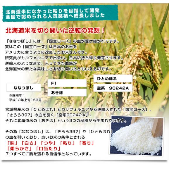 令和5年産 北海道産 ななつぼし 5キロ お米 北海道米 送料無料06