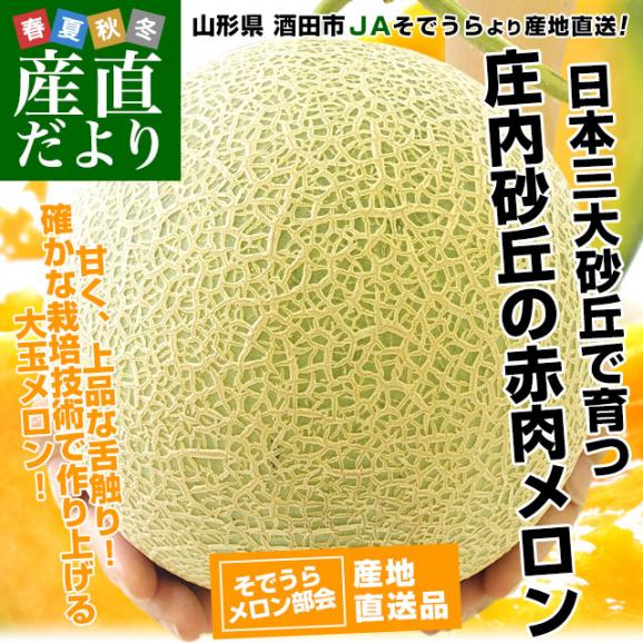 山形県より産地直送 JAそでうら 庄内砂丘の赤肉メロン 大玉サイズ 4玉から5玉 約8キロ 送料無料 メロン めろん02
