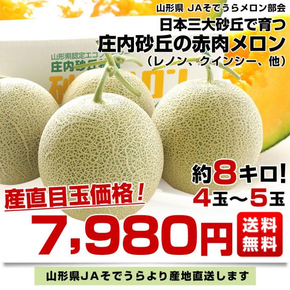 山形県より産地直送 JAそでうら 庄内砂丘の赤肉メロン 大玉サイズ 4玉から5玉 約8キロ 送料無料 メロン めろん03