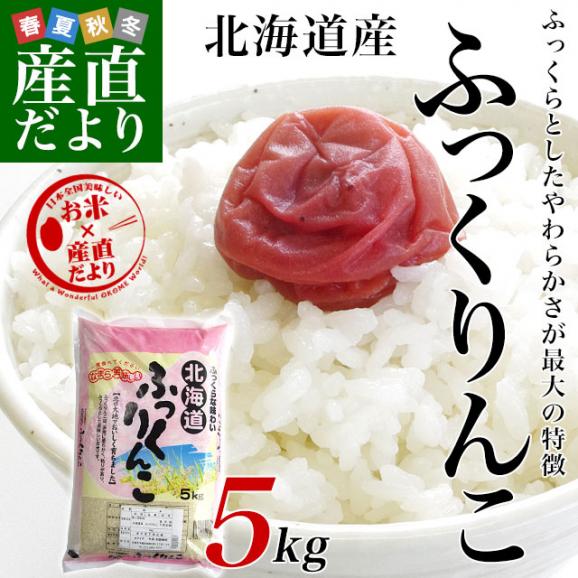 令和5年産　北海道産 ふっくりんこ　5キロ　送料無料　お米　北海道米02